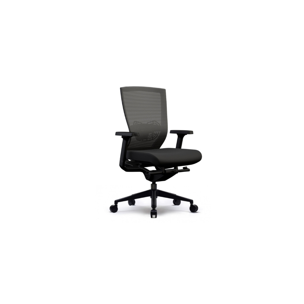 Buy A Lucca Task Chair Online Ergonomic Office Chairs